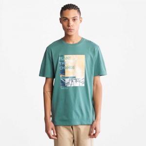 Timberland Nature Needs Heroes Verzi Inchis | SN-TBL46167